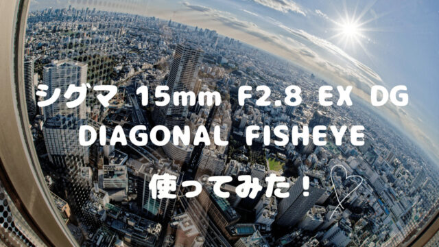 初めての魚眼レンズ レビュー】「シグマ 15mm F2.8 EX DG DIAGONAL