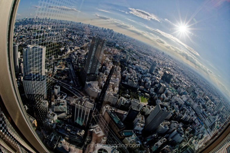 魚眼レンズで撮影した東京の街並み