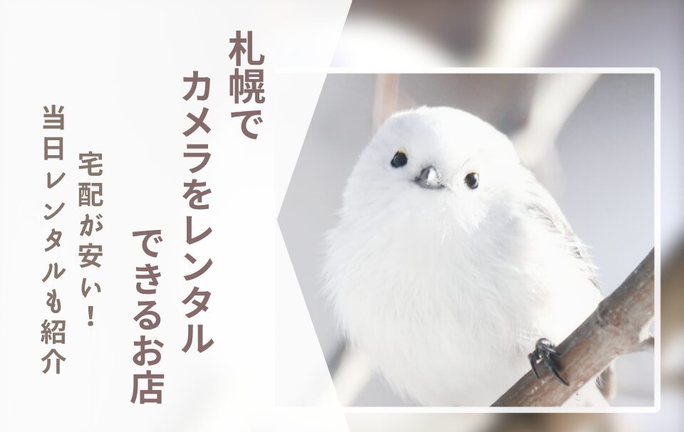 【札幌でカメラレンタル】宅配レンタルが安い！当日OKの店舗情報も