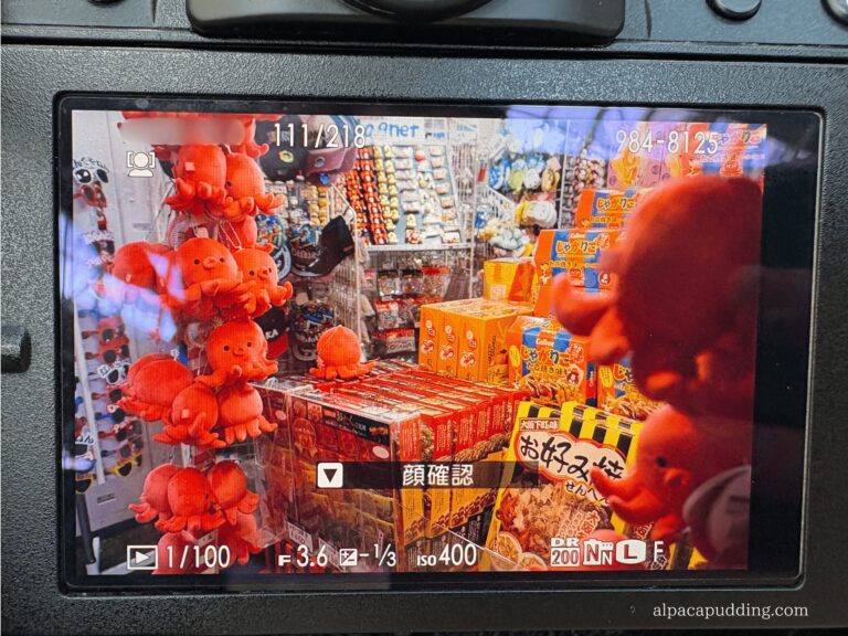 レンタルしたカメラの背面モニターで撮った写真を確認しているところ
