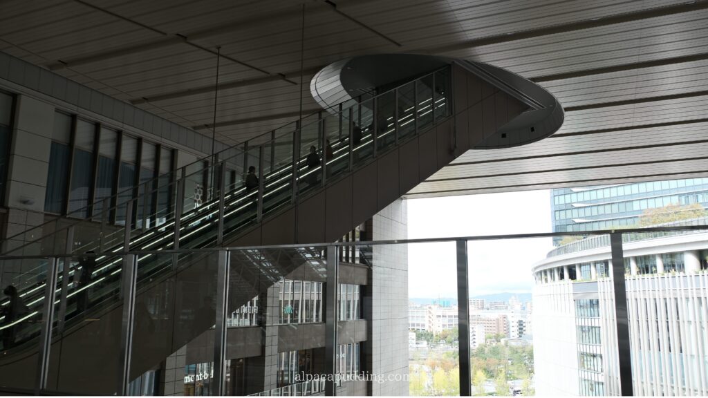 X-S20＋XF18-135mm作例