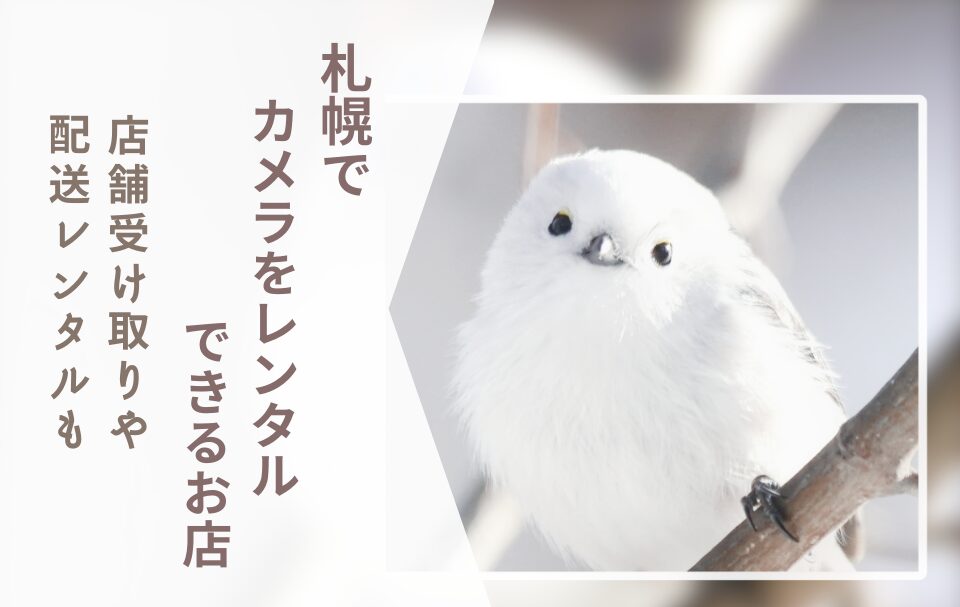 【初心者向け】札幌でカメラレンタルするなら?当日OKの店舗・配送まとめ