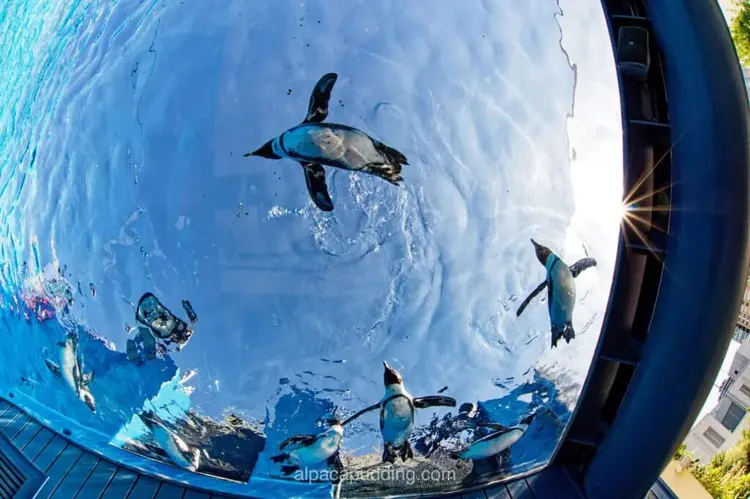 作例を先取り！