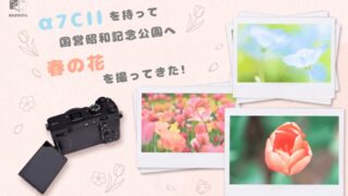【作例あり】α7C IIを持って昭和記念公園へ！春の花を撮ってきた正直レビュー