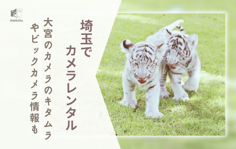 【埼玉でカメラレンタル】大宮のカメラのキタムラやビックカメラ情報も