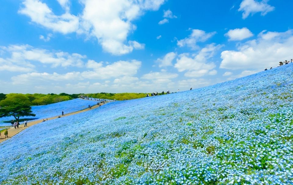 茨城県でカメラやレンズをレンタル