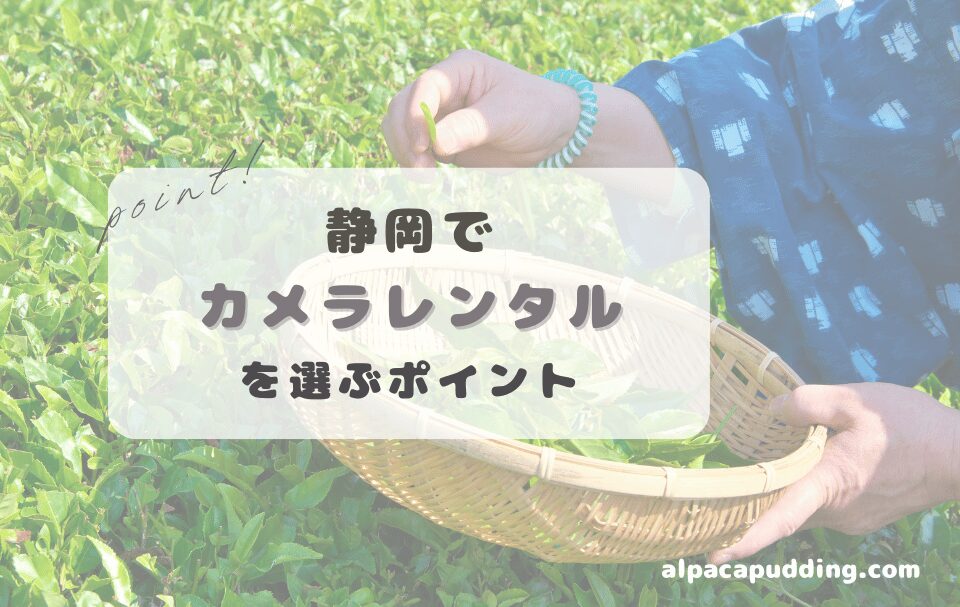 静岡県でカメラレンタルを選ぶときのポイント