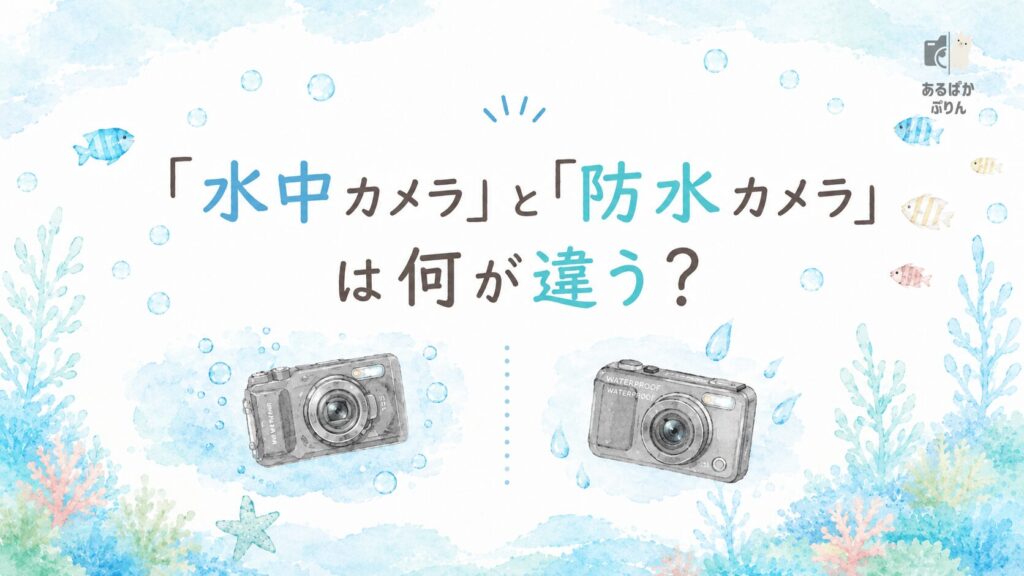 水中カメラ・防水カメラのレンタルおすすめ：「水中カメラ」と「防水カメラ」は何が違う？