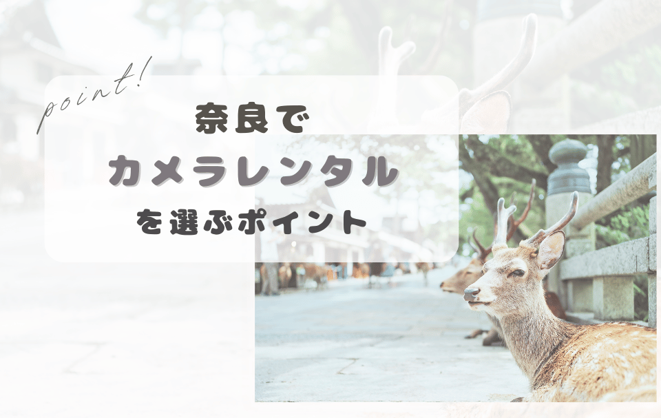 奈良県でカメラレンタルを選ぶときのポイント