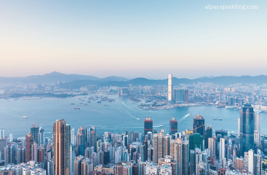 【実際に筆者が撮影した写真】旅行にカメラはいらない？香港旅行中のひとコマ