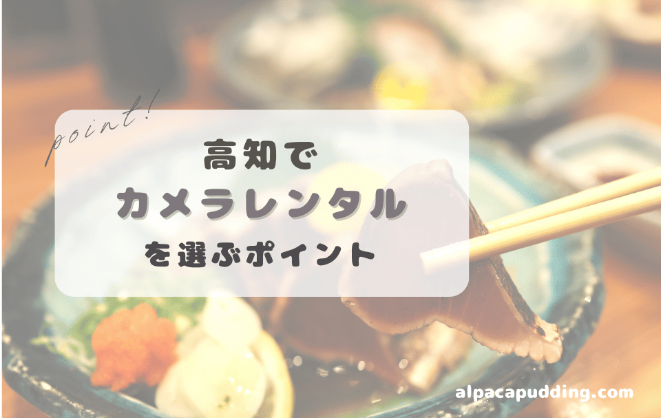 高知県でカメラレンタルを選ぶときのポイント