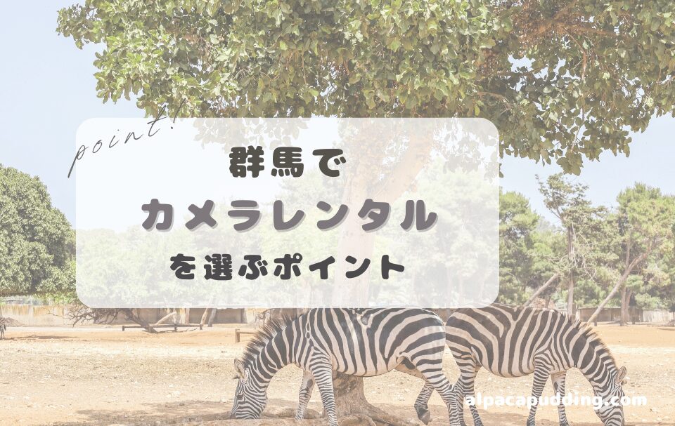 群馬県でカメラレンタルを選ぶときのポイント