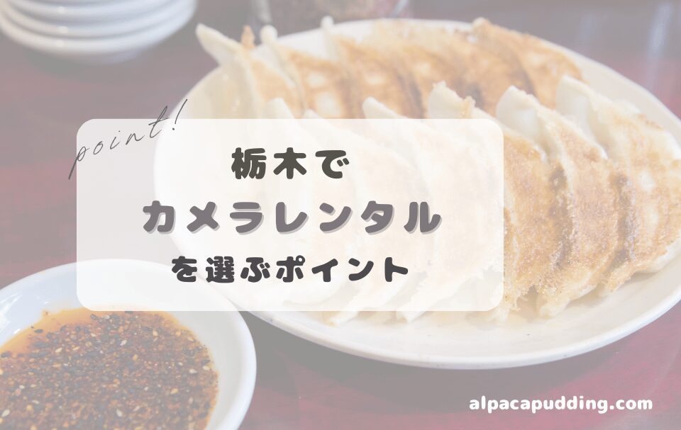 栃木県でカメラレンタルを選ぶときのポイント