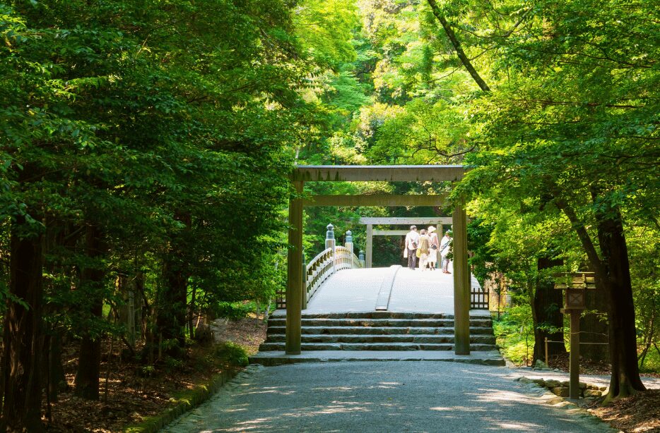 三重県でカメラやレンズをレンタルしてみよう♪