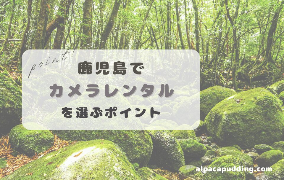 鹿児島県でカメラレンタルを選ぶときのポイント
