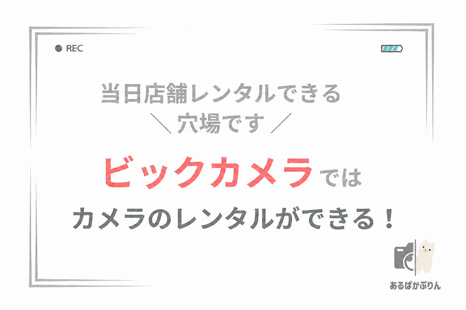 【穴場です】ビックカメラではカメラを当日レンタルできる！料金・店舗・注意点を解説