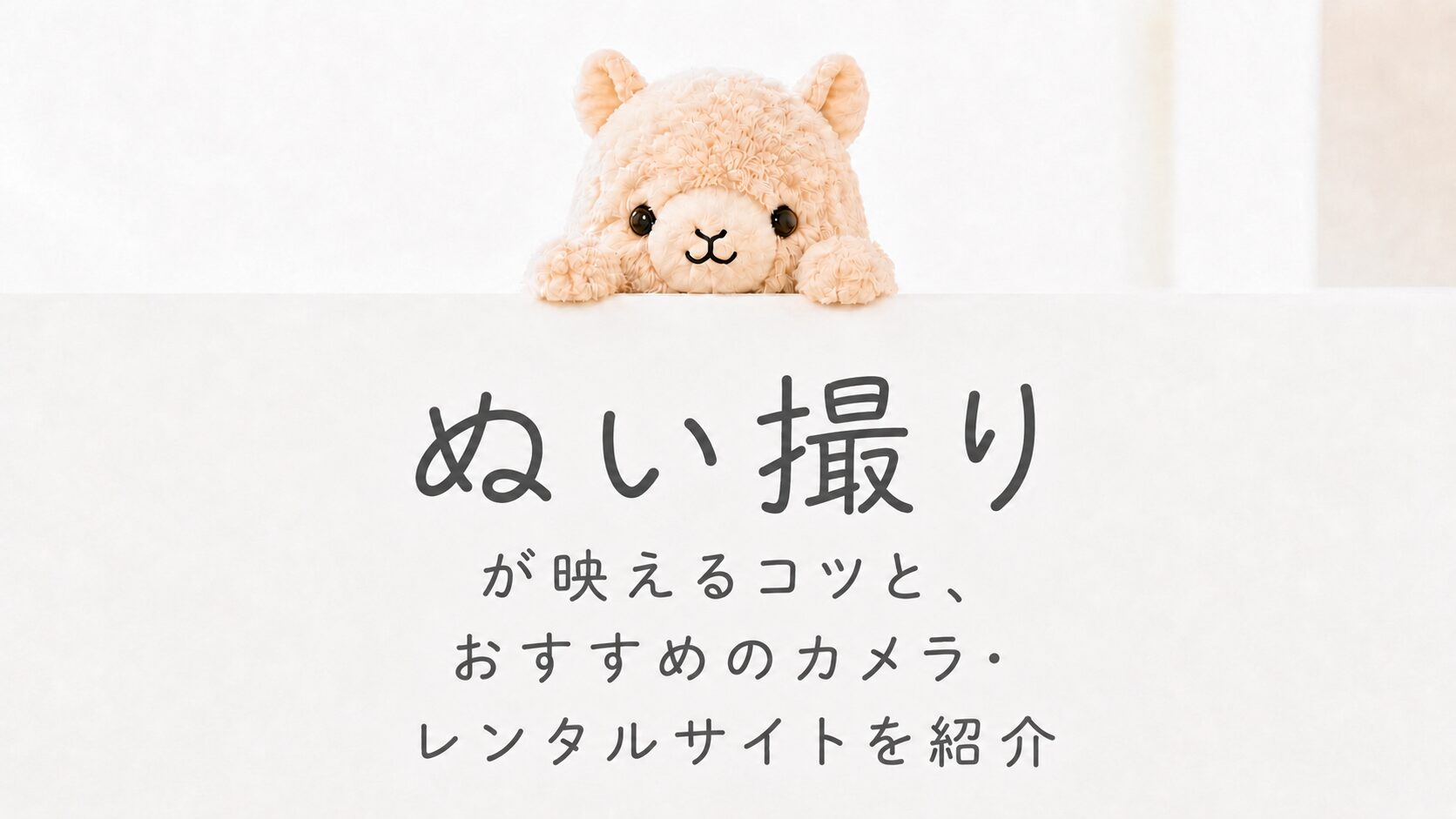 ぬい撮りをもっとかわいく！映えるコツとおすすめカメラ・レンタルサイト【2026年】