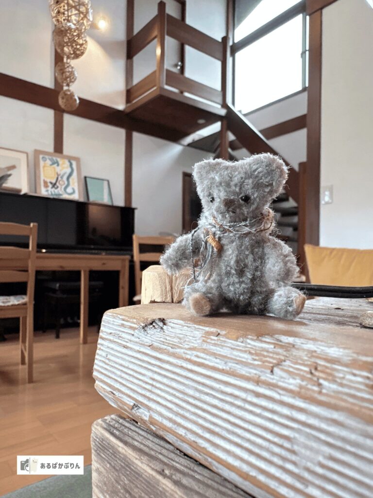 ぬい撮りのコツ5つ！スマホでかわいく撮る方法とおすすめカメラ・レンタルを紹介：逆さ撮りで目線を下げて撮ったぬいぐるみ