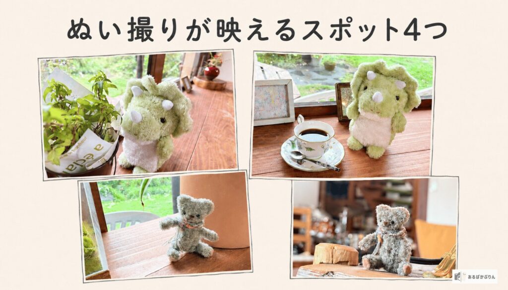 ぬい撮りのコツ5つ！スマホでかわいく撮る方法とおすすめカメラ・レンタルを紹介：ぬい撮りが映えるスポット4つ
