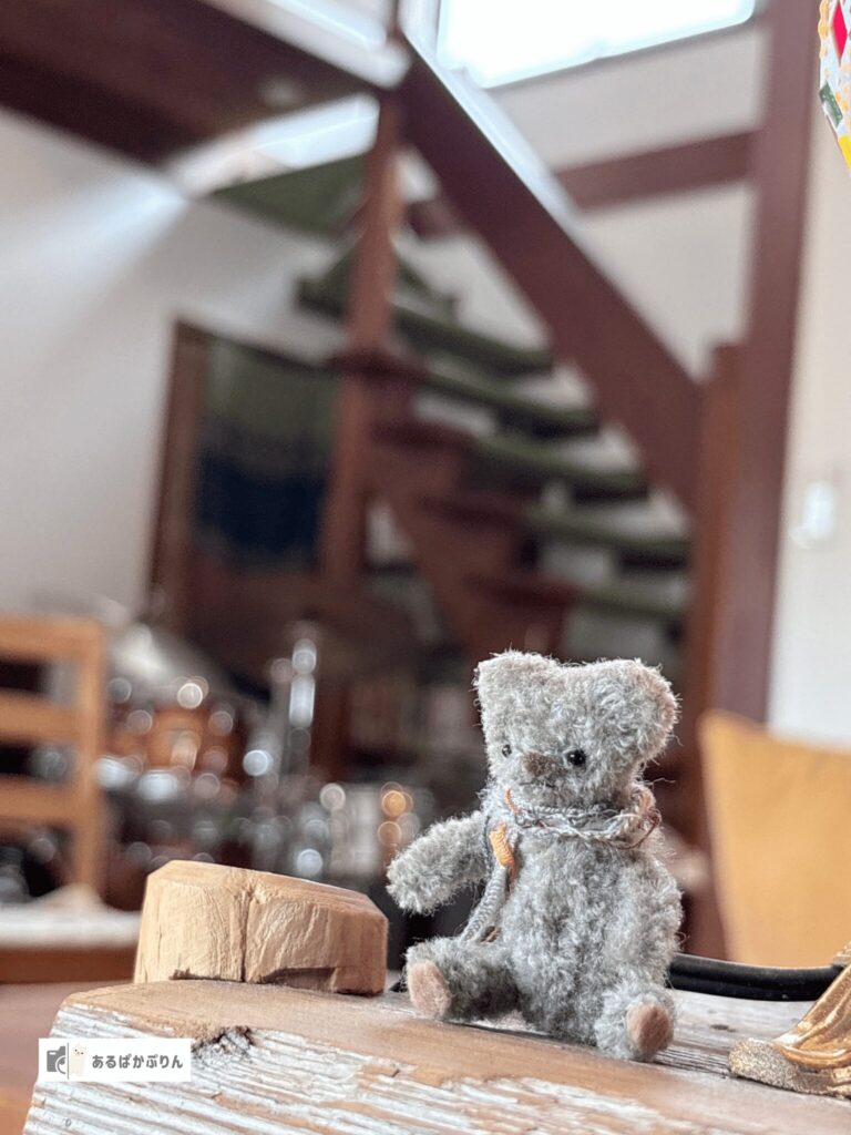 レンタルしたカメラでぬいぐるみの背景をぼかして撮った作例