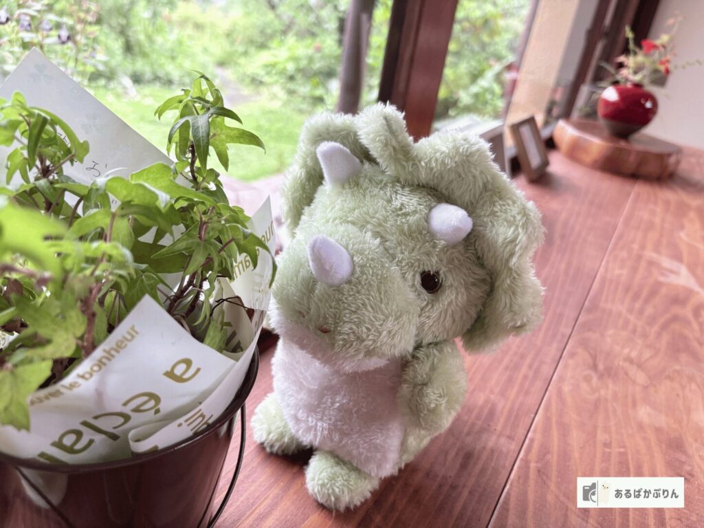 ぬい撮りのコツ5つ！スマホでかわいく撮る方法とおすすめカメラ・レンタルを紹介：花や緑を入れて季節を出したぬいぐるみ