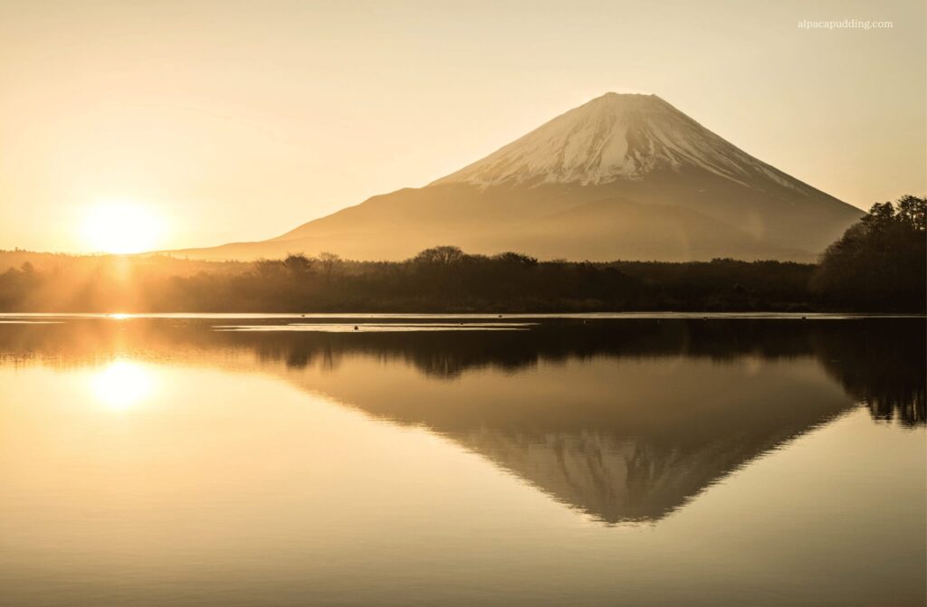 【実際に筆者が撮影した写真】旅行にカメラはいらない？富士山旅行中のひとコマ