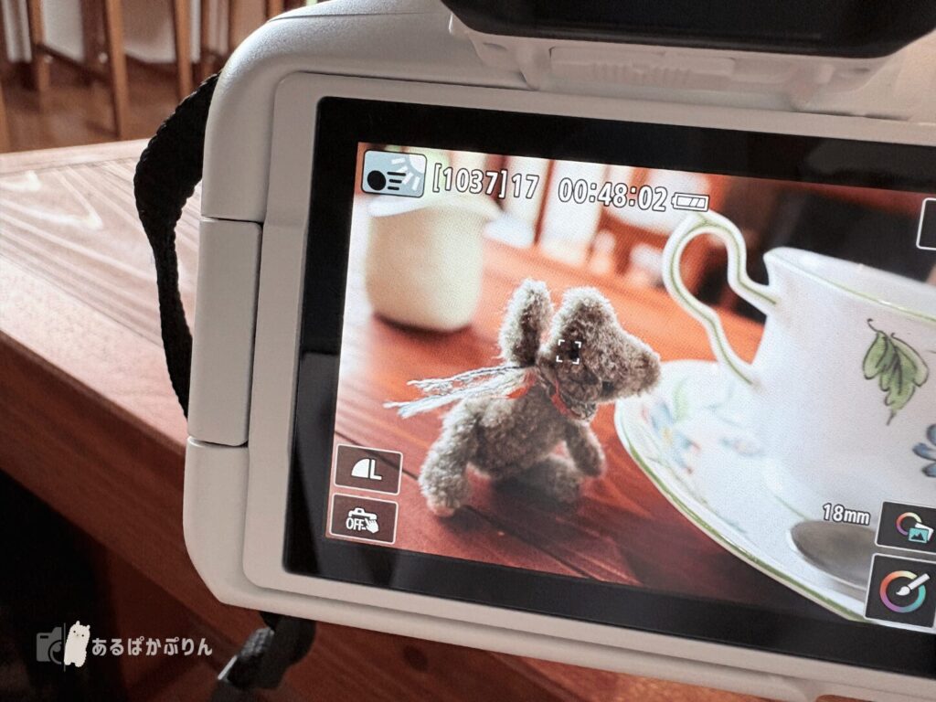 ぬい撮りのコツ5つ！スマホでかわいく撮る方法とおすすめカメラ・レンタルを紹介：EOS R50でぬいぐるみの顔にピントを合わせたところ
