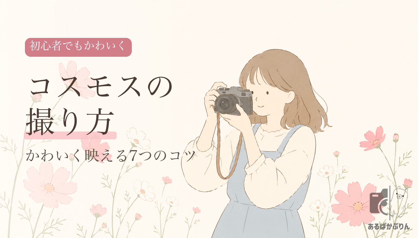 コスモスの撮り方7つのコツ！初心者でもかわいく映える方法