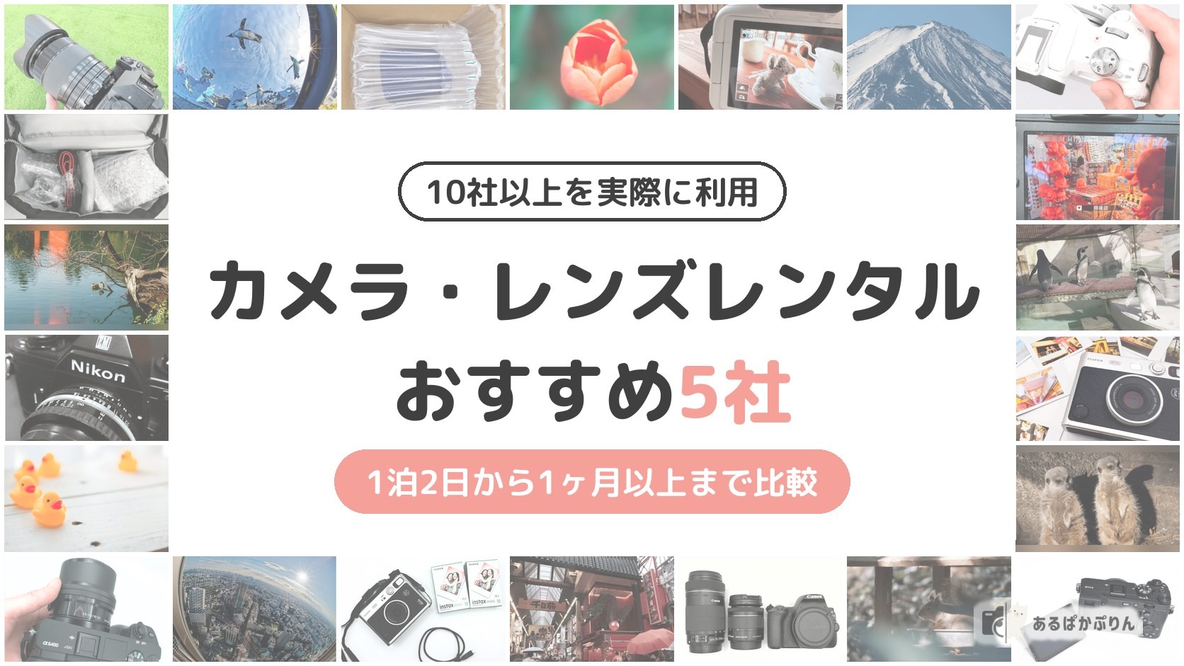 【10社以上を利用】カメラレンタルおすすめ5社！目的・期間別に比較