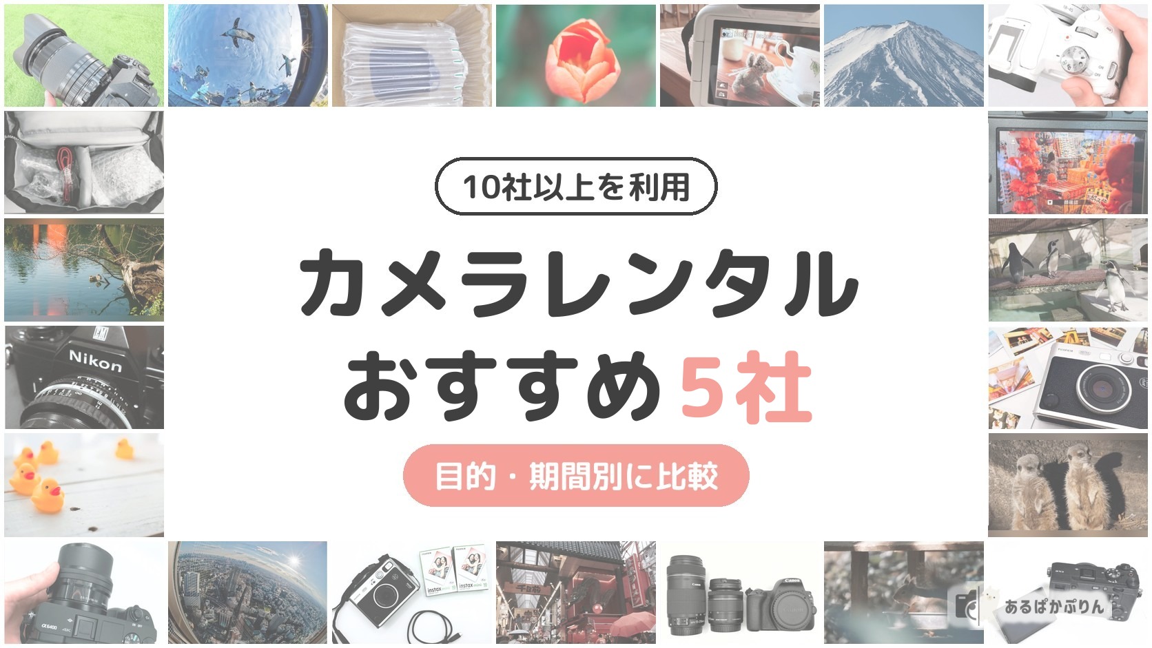 【10社以上を利用】カメラレンタルおすすめ5社！目的・期間別に比較