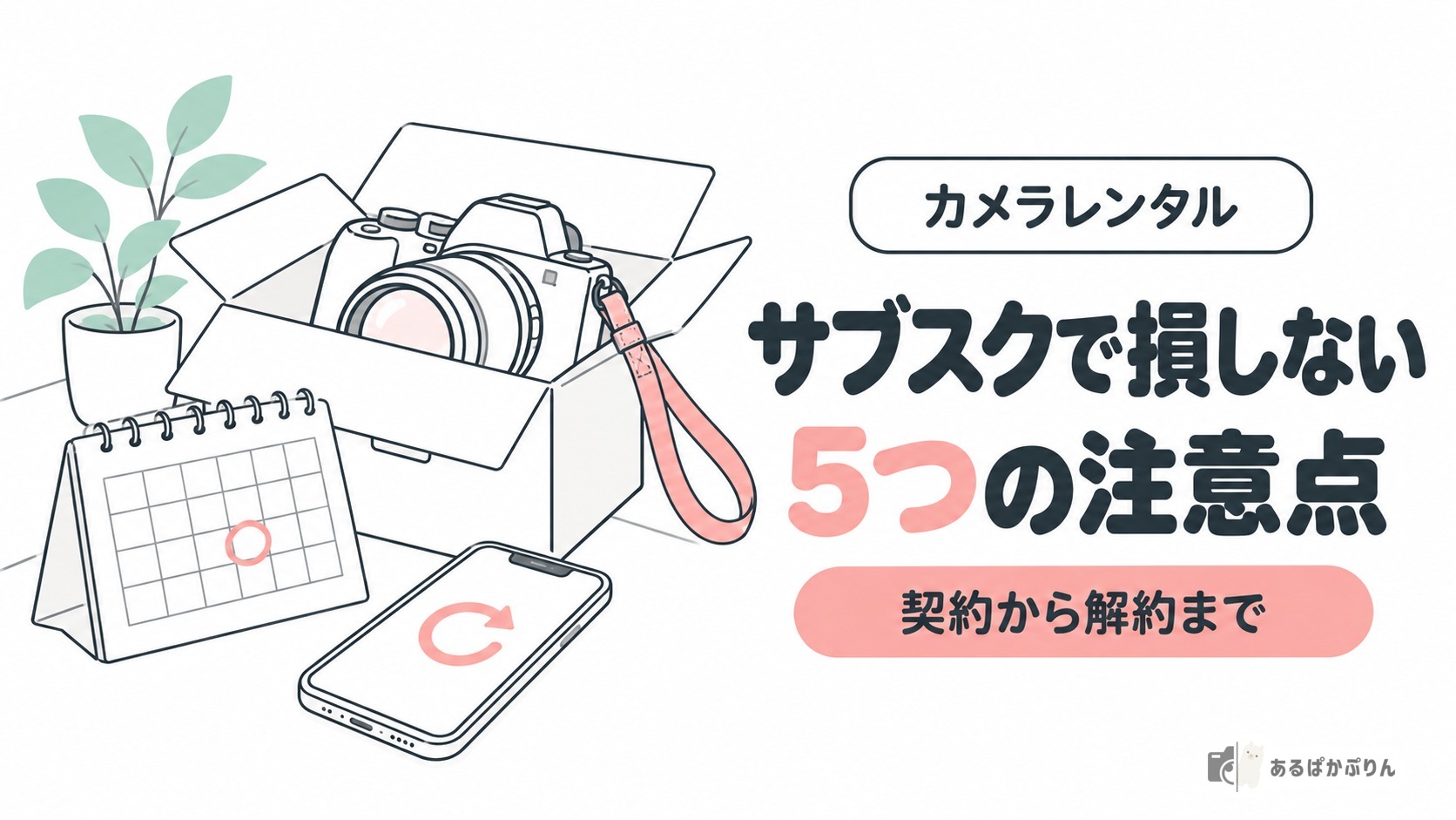 カメラサブスクの注意点5つ！契約から解約まで損を防ぐポイント