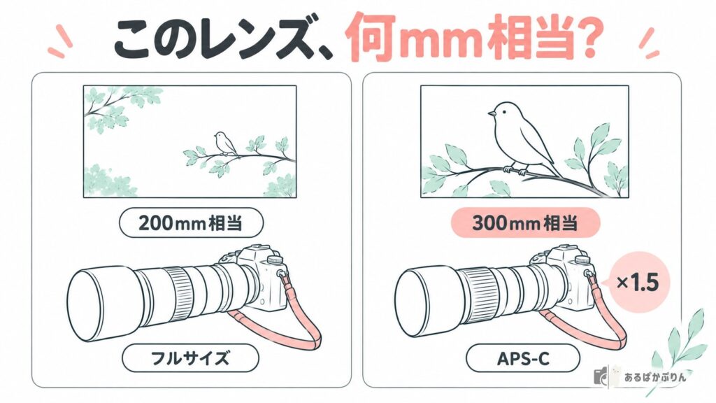 同じ200mmのレンズでもフルサイズは200mm相当、APS-Cは300mm相当になることを示す図