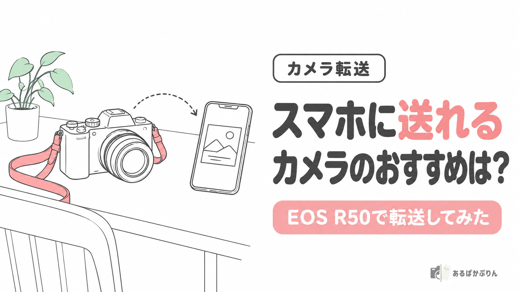 スマホに送れるカメラのおすすめは？EOS R50で転送してみた