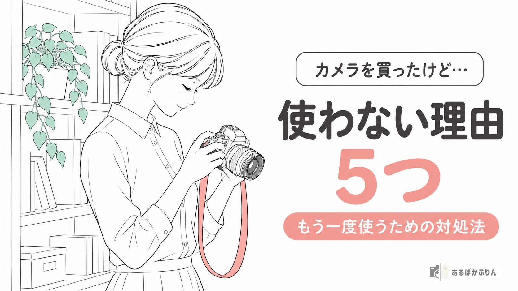 カメラを買ったけど使わない理由5つ！もう一度使うための対処法